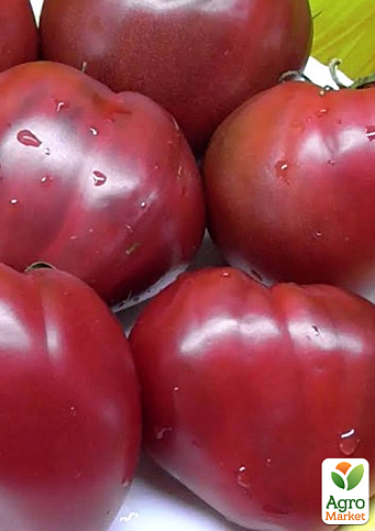 Томат гном "Пурпурове серце" ТМ "Vesna Select" 0.1г