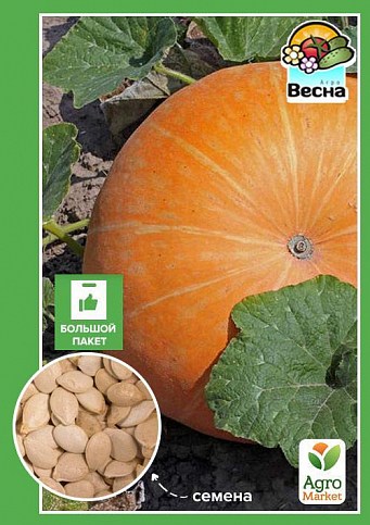 Тыква "Стофунтовая" (Большой пакет) ТМ "Весна" 8г