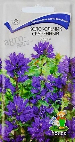 Колокольчик скученный синий ТМ "Поиск" 0.02г