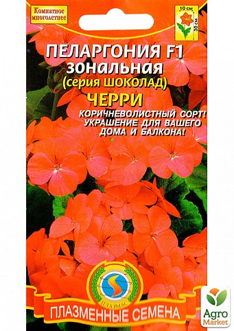 Пеларгонія зональна "Черрі" серія шоколад ТМ "Плазмові насіння" 3шт NEW