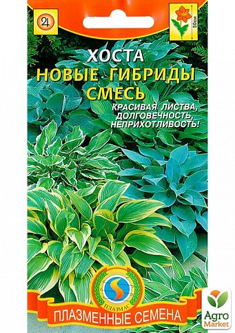 Хоста "Нові гібриди" суміш ТМ "Плазмові насіння" 3шт NEW