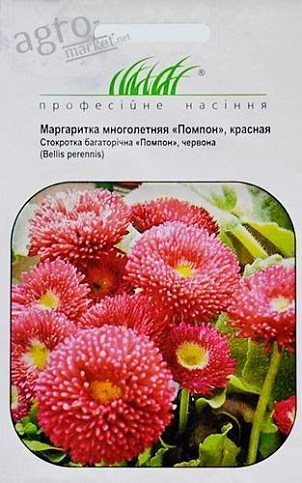 Маргаритка "Помпон червона" ТМ "Hem Zaden" 0.01г