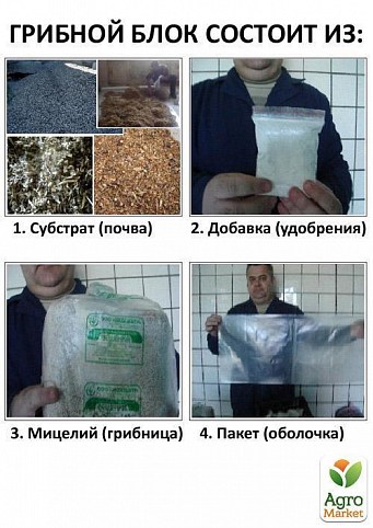 Комплект грибівників (Глива)