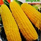 Кукурудза "Міраж" ТМ "Яскрава" 20г