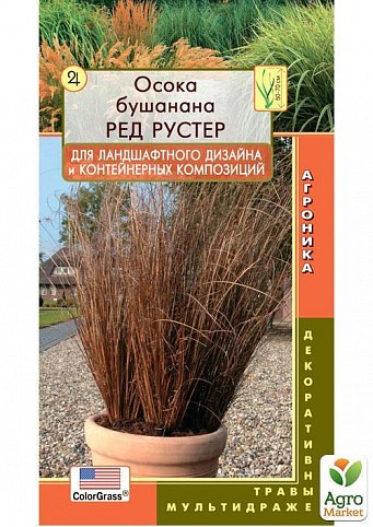 Осока "Бушана Ред Рустер" ТМ "Плазменные семена" 3шт