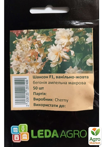 Бегонія "Шансон F1" ванільно-жовта ТМ "Leda Agro" 50шт