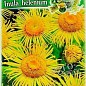 Девясил высокий ТМ "Солнечный март" 0.2г