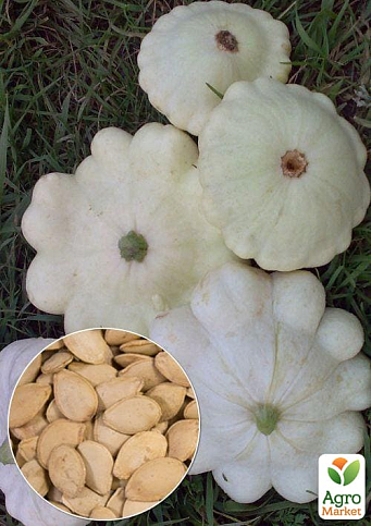 На развес Патиссон "Белый" ТМ "Весна" цена за 5г