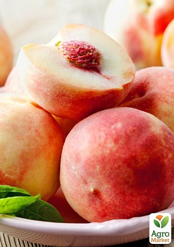 Персик "Фреш Вайт" (біла м'якоть, середній термін дозрівання)  - фото 3