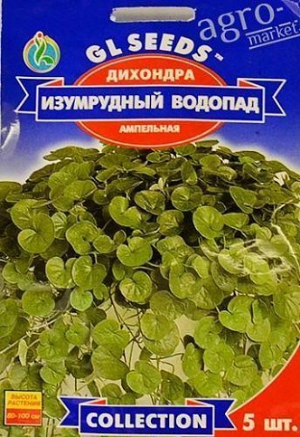Діхондра "Смарагдовий водоспад" ТМ "GL Seeds" 5шт
