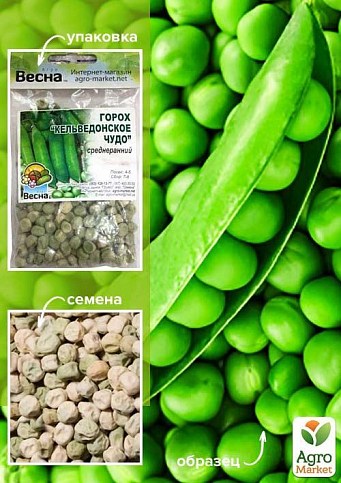Горох "Кельведонское чудо" (Зипер) ТМ "Весна" 30г