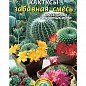 Кактуси "Забавна суміш" ТМ "Плазмові насіння" 0,05г