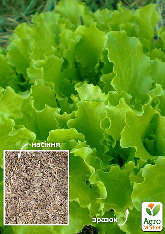 На развес Салат "Нежный кудрявец" ТМ "Весна" цена за 8г