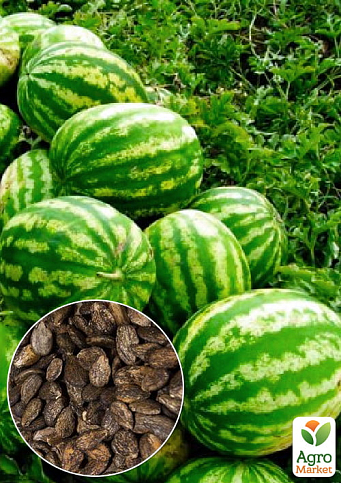 На развес Арбуз "Одесский сувенир" ТМ "Весна" цена за 6г