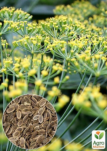 На развес Укроп "Фейерверк" ТМ "Весна" цена за 20г