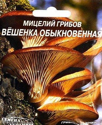 Гливи "Звичайна" ТМ "Насіння України" 10шт