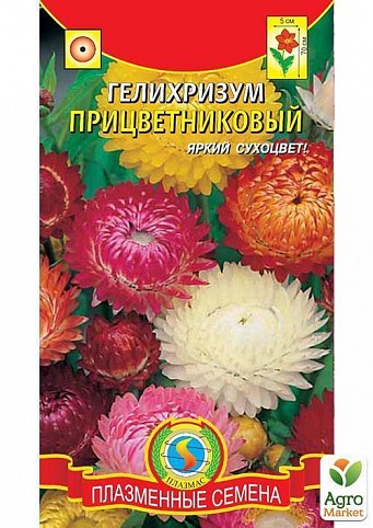 Гелихризум прицветниковый (смесь) ТМ "Плазменные семена" 0,3г
