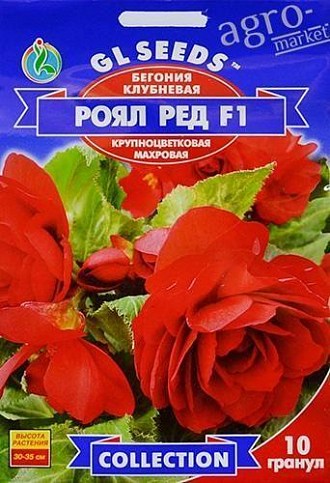 Бегония клубневая "Роял ред F1" ТМ "GL Seeds" 10шт