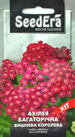 Ахілея багаторічна "Вишнева королева" ТМ "SeedEra" 0.1г
