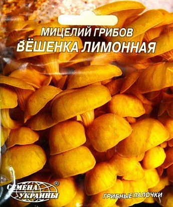 Гливи "Лимонна" ТМ "Насіння України" 10шт