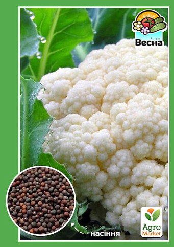 Капуста цветная "Летняя Альфа" ТМ "Весна" 0.3г