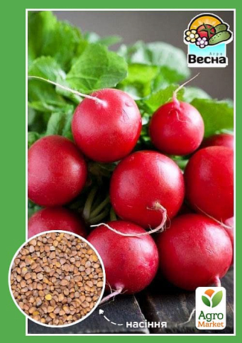 Редис "Підсніжник" ТМ "Весна" 2г