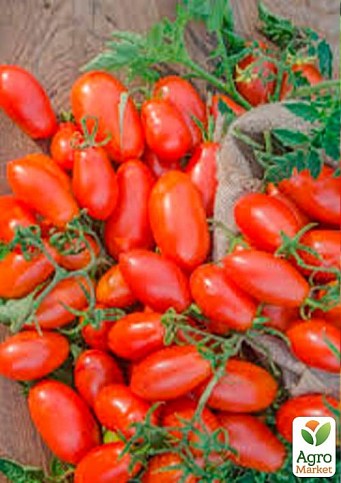 Томат детерминантный "9985 F1" ТМ "Lark Seeds" 5000шт
