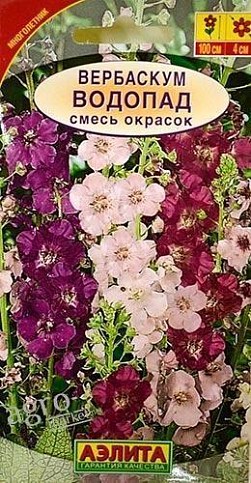 Вербаскум "Водопад" смесь окрасок ТМ "Аэлита" 0.1г