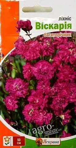 Лихнис "Вискария" ТМ "Яскрава" 0.1г