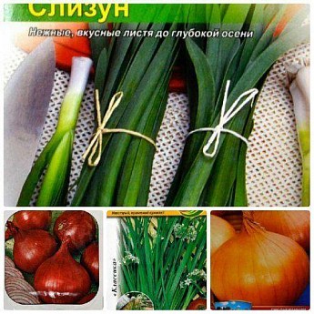 Комплект насіння цибулі "Пікантний урожай" 5уп
