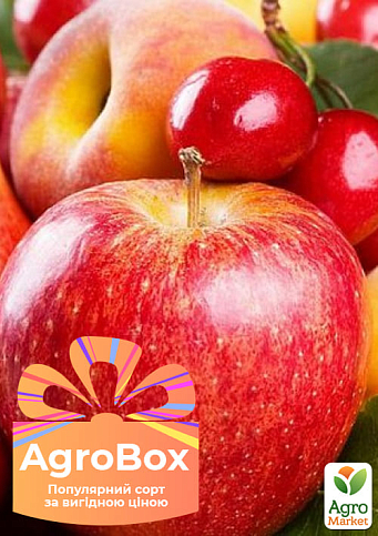 Ексклюзив! AGROBOX з високоврожайним плодовим деревом