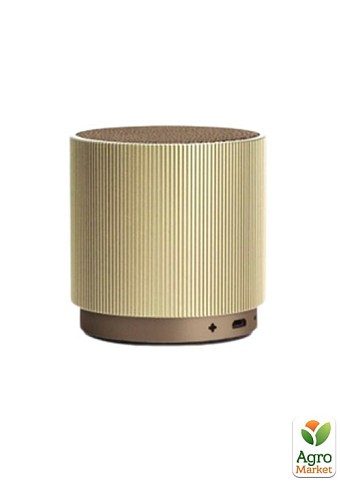 Портативный динамик Lexon Fine Speaker светлое золото (LA98D6) 