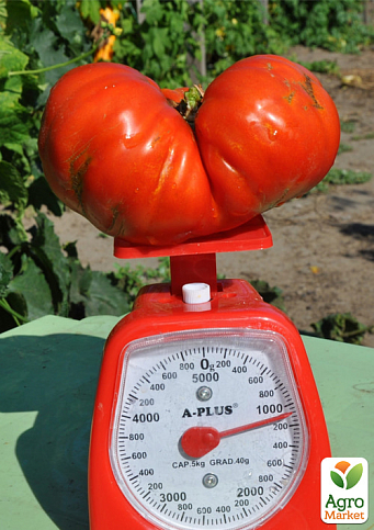 Томат "Couilles de taureau" ТМ "Vesna Select" 20шт