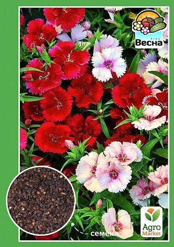 Гвоздика "Китайська" ТМ "Весна" 0.3г