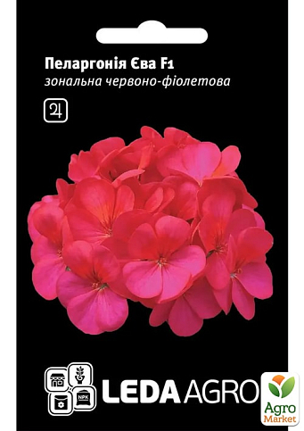 Пеларгония "Ева F1"  ТМ "Leda Agro" 5шт