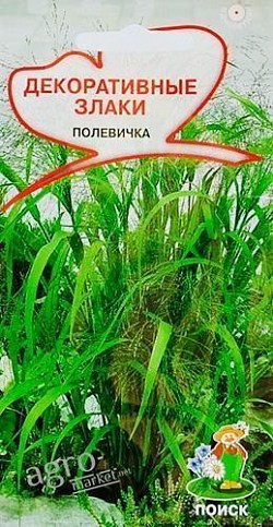 Декоративні злаки "полевічка" ТМ "Пошук" 50шт