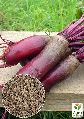 На развес Свекла "Хоробрый" ТМ "Весна" цена за 10г