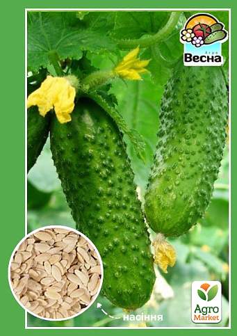 Огірок "Виноградна грона F1" ТМ "Весна" 0.5г