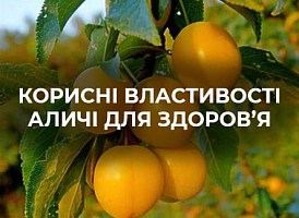 Користь аличі | Agro-market