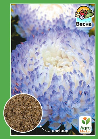Айстра "Фламір біло-блакитний" ТМ "Весна" 0.2г