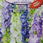 Дельфініум "Смарагд" ТМ "АЕЛІТА" 0.1г