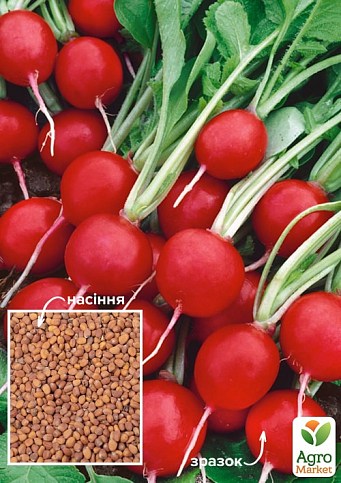 Редис "Сора" (Зипер) ТМ "Весна" 7г