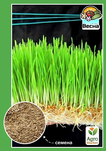 Трава для кошек ТМ "Весна" 10г