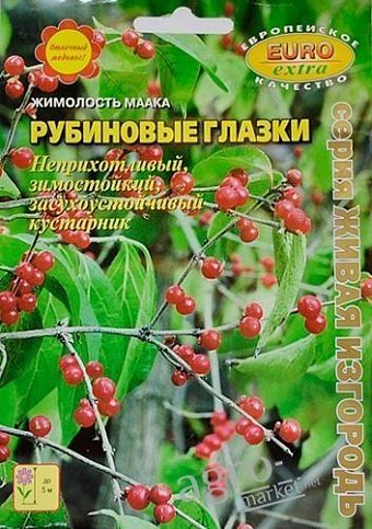 Жимолость маака "Рубиновые глазки" ТМ "Аэлита"
