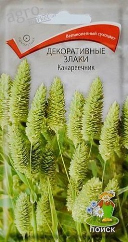 Декоративні злаки "канареечник" ТМ "Пошук" 40шт