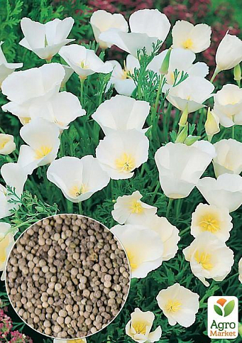 На развес Эшшольция "Белая" ТМ "Весна" цена за 2г