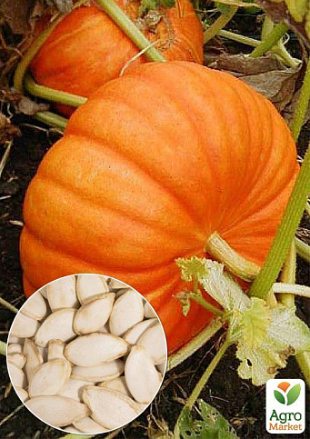 На развес Тыква "Конфетка" ТМ "Весна" цена за 10г