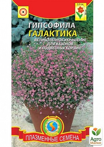 Гипсофила "Галактика" ТМ "Плазменные семена"0,005г