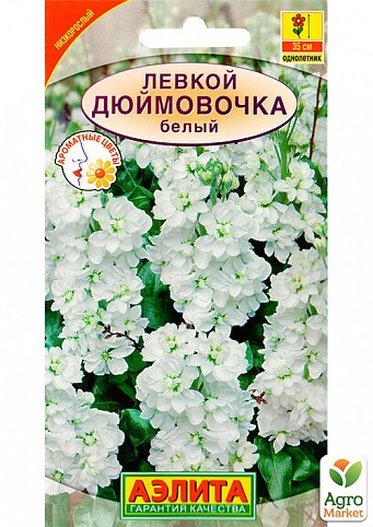 Левкой карликовый "Дюймовочка белый" ТМ "Аэлита" 0.1г NEW