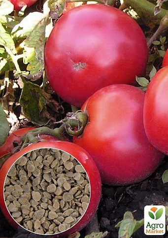 На развес Томат "Малиновое Виконте" ТМ "Весна" цена за 1г